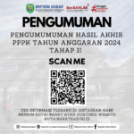 PENGUMUMAN PPPK TA 2024 TAHAP ll